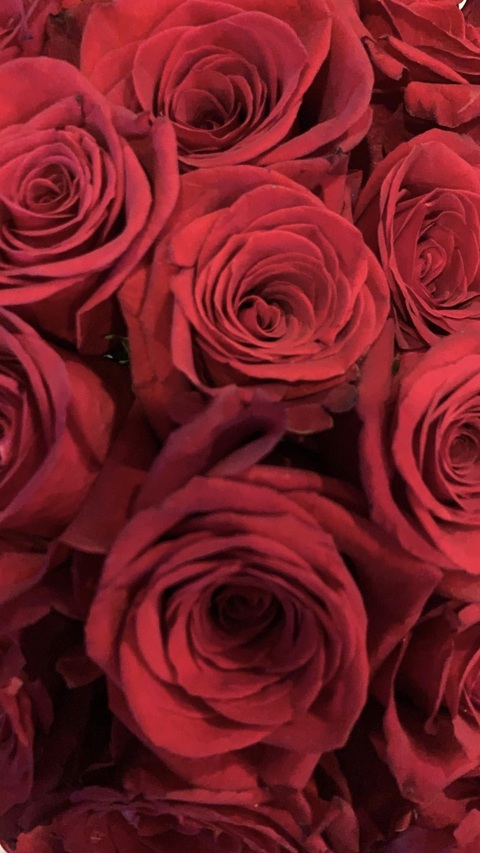 Header of alib17
