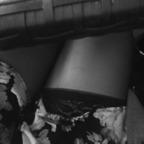 Free access to arcthicc.a Leak OnlyFans 

 profile picture