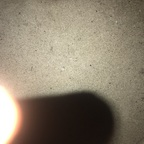 Onlyfans leaks asianspade 

 profile picture