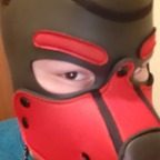bacchy_puppy (Bacchy_Puppy) OnlyFans Leaked Videos and Pictures 

 profile picture