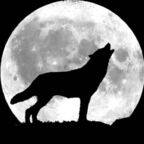 bigbadwolf0 (BadWolf) free OnlyFans Leaked Pictures & Videos 

 profile picture