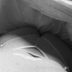 boo1184 (Charlotte 🌷) OnlyFans Leaked Videos and Pictures 

 profile picture