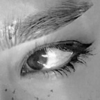 bootsthefeline (boots) OF Leaked Pictures & Videos [UPDATED] profile picture