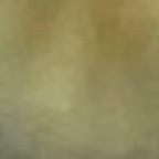 brandiblossom (Brandi Blossom) OnlyFans Leaked Content 

 profile picture