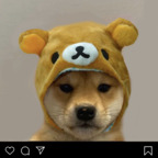 Download bunniebby OnlyFans leaks for free 

 profile picture