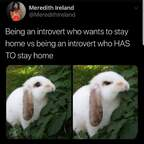 bunnybums @bunnybums Leaked OnlyFans 

 profile picture