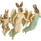 bunnygorl (i know the law baby) OnlyFans Leaked Content 

 profile picture