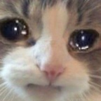 c4770 (Catto Mcgriddle) Only Fans Leaked Videos and Pictures [UPDATED] profile picture
