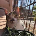 Onlyfans leaks catladybrazilian 

 profile picture