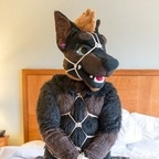daddydober (Daddy Dober ฅ^•ﻌ•^ฅ) free OF Leaks [!NEW!] profile picture