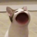 dash_17 OnlyFans Leaked 

 profile picture