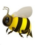 Onlyfans leak donnabee 

 profile picture