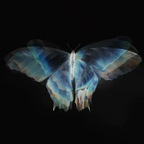 fairyvamp (alexa) OF Leaked Pictures & Videos [FRESH] profile picture