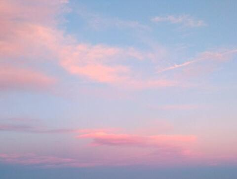 Header of honeybee1820