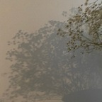 ienfelloryy (Ien) OF Leaked Videos and Pictures [UPDATED] profile picture
