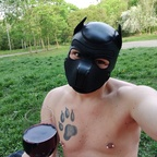 igamenir (Igy (pup/owner)) OnlyFans Leaked Content 

 profile picture