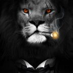 jbizzle3333 (Jbizzle3333) free OnlyFans Leaks [!NEW!] profile picture