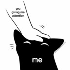 kittilicious OnlyFans Leaks 

 profile picture