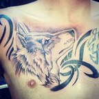Kortgriffin (korgriffin) Leaks OnlyFans 

 profile picture