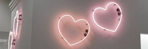 Header of lolamoon