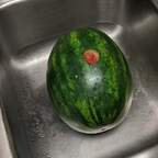 melonfrm OnlyFans Leak 

 profile picture