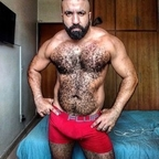 musclebearbrazil Profile Picture