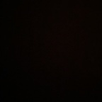 peacon (Peacon) Only Fans Leaked Pictures & Videos [FRESH] profile picture