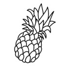 Download pineappleone OnlyFans content for free 

 profile picture