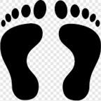 Download playfootsiewme OnlyFans content for free 

 profile picture