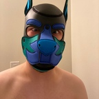 Profile picture of pup_orion