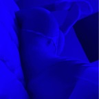 Sarah miller @sarahmiller8 Leaked OnlyFans 

 profile picture