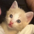 skinnybonestwink OnlyFans Leak 

 profile picture