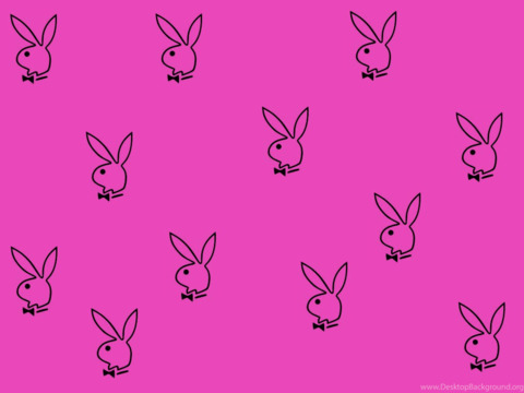 Header of stelllz