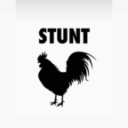 stunttcock OnlyFans Leaked Photos and Videos 

 profile picture
