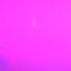 syndrogyn (syndrogyn) free OnlyFans Leaked Videos and Pictures 

 profile picture