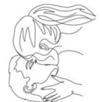 ❤ 18+ thatdirtyduo Leak OnlyFans 

 profile picture