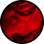 BoobooBrown theb00tybandit Leaked OnlyFans 

 profile picture