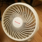 Onlyfans leaked theguyhasfans 

 profile picture