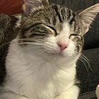 theprincessb (A) OF content [UPDATED] profile picture