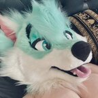 thylasaur (Quartz 💕) free OnlyFans Leaked Pictures & Videos [UPDATED] profile picture