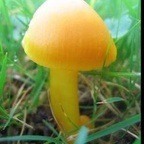 tinyclitdick OnlyFans Leak 

 profile picture