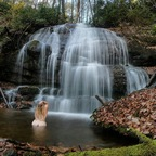 Download waterfallbutts OnlyFans leaks for free 

 profile picture