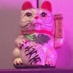 youniversall OnlyFans Leaked 

 profile picture